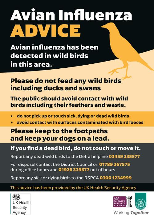 Avian influenza (bird flu) Poster