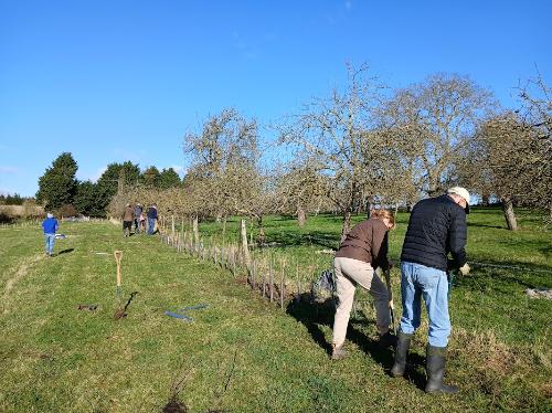 TCAP community planting day with Folly Fields Biodiversity Project