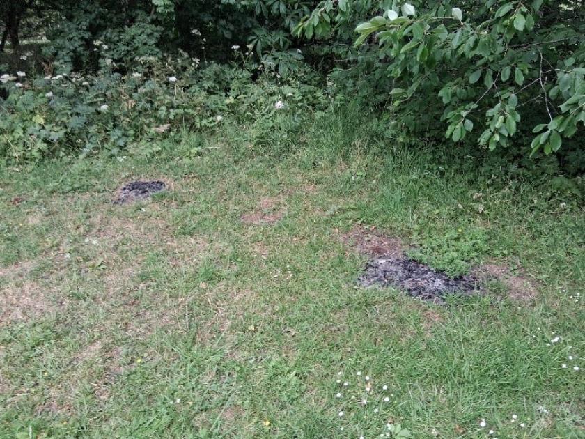 ground burnt from fire or disposable bbq
