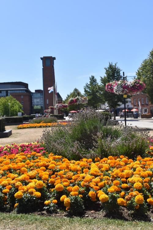 Bancroft Gardens 2 - July 2025