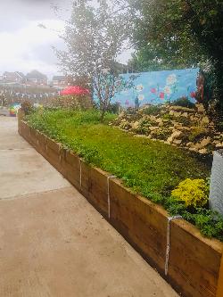 BCC garden 2