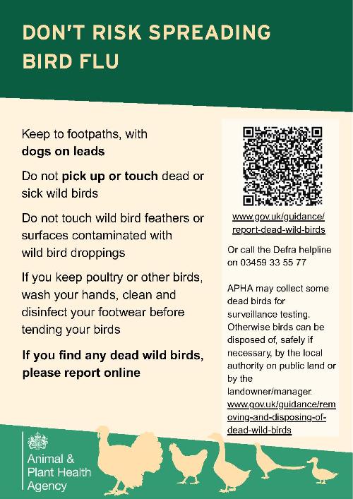 Bird Flu poster 2