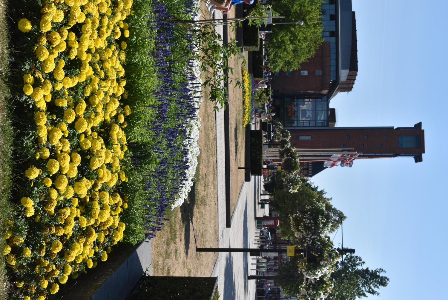 Stratford-on-Avon District Council retains prestigious Green Flag Award for Bancroft Gardens