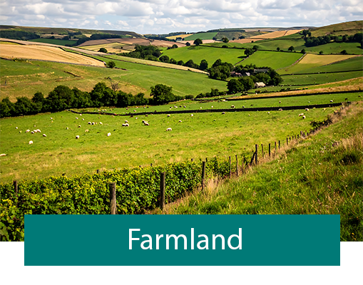 Fly Tip Land Type - Farmland