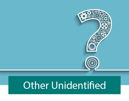 Fly Tip Waste Type - Other Unidentified Waste